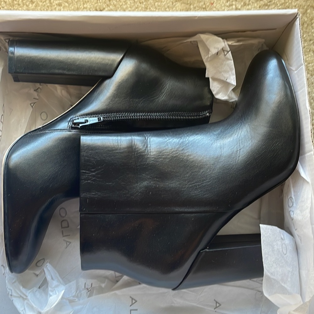 Aldo Aravia Boots